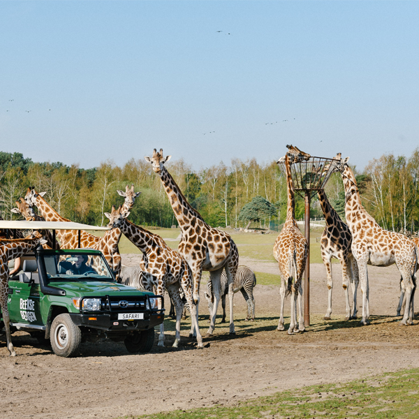 Safaripark Beekse Bergen