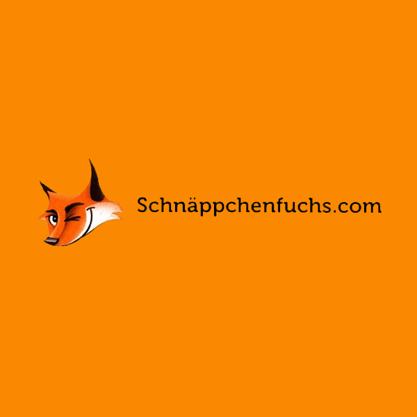 Schnäppchenfuchs.com