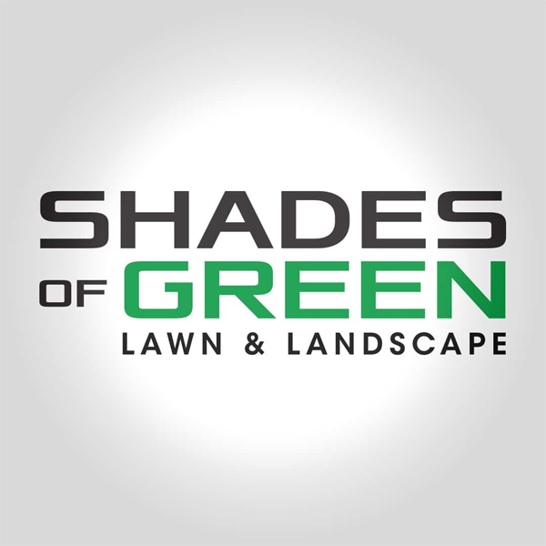 Shades of green