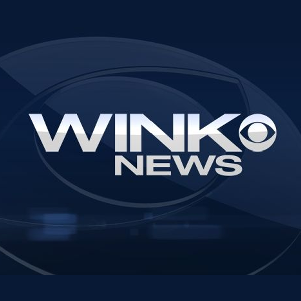 WINK News logo