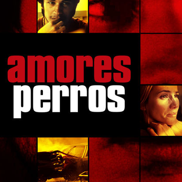 Amores perros