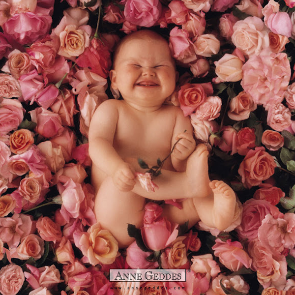 Anne Geddes