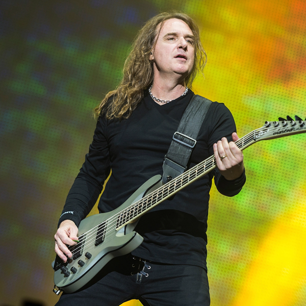 David Ellefson