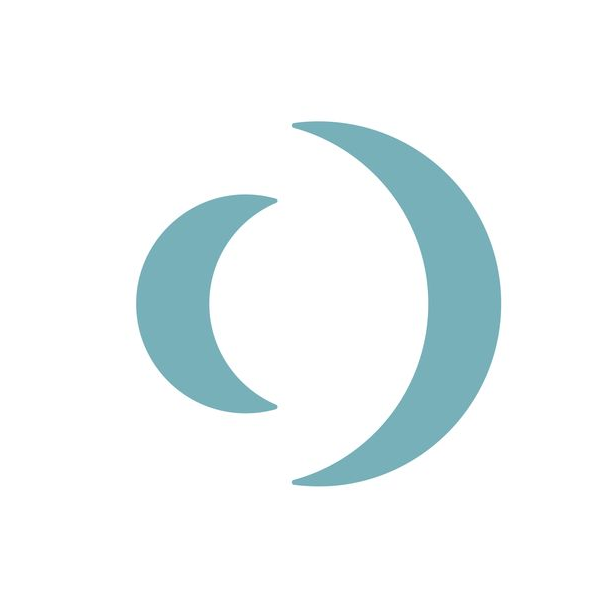 Insomniac Games logo