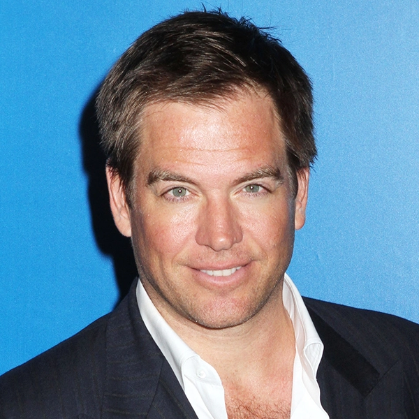 Michael Weatherly logo