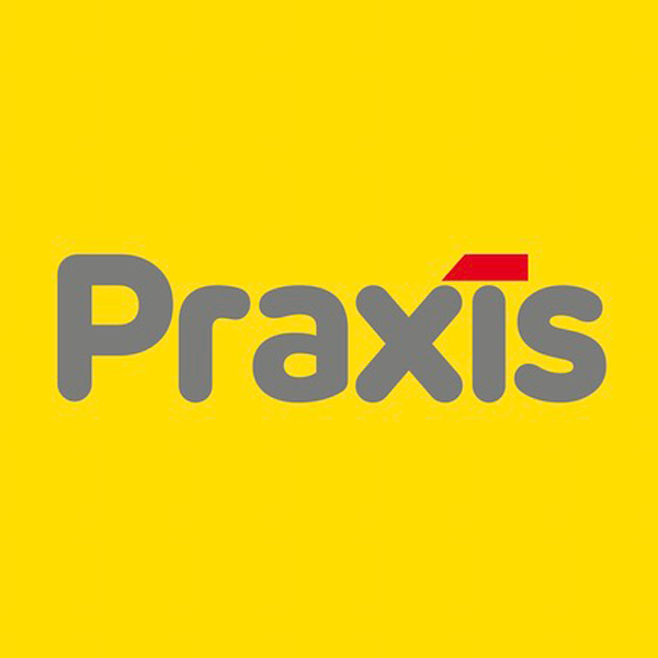 Praxis (store)