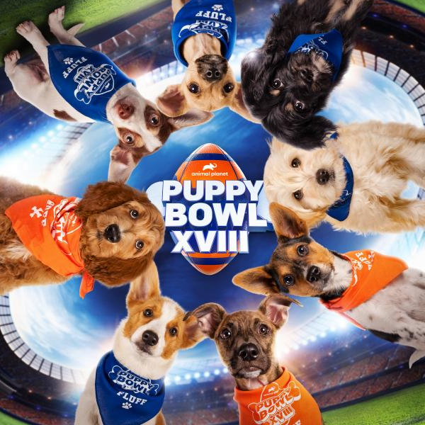 Puppy Bowl