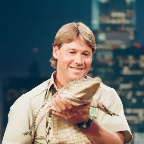 Steve Irwin