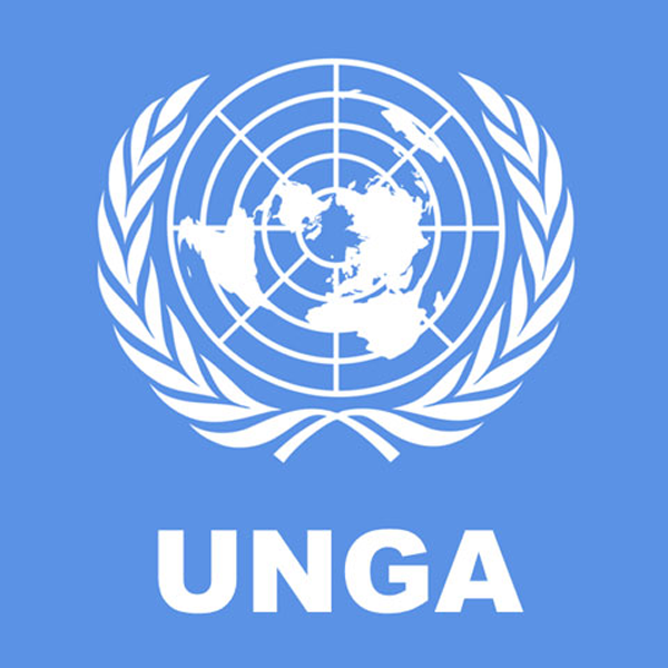 United Nations General Assembly