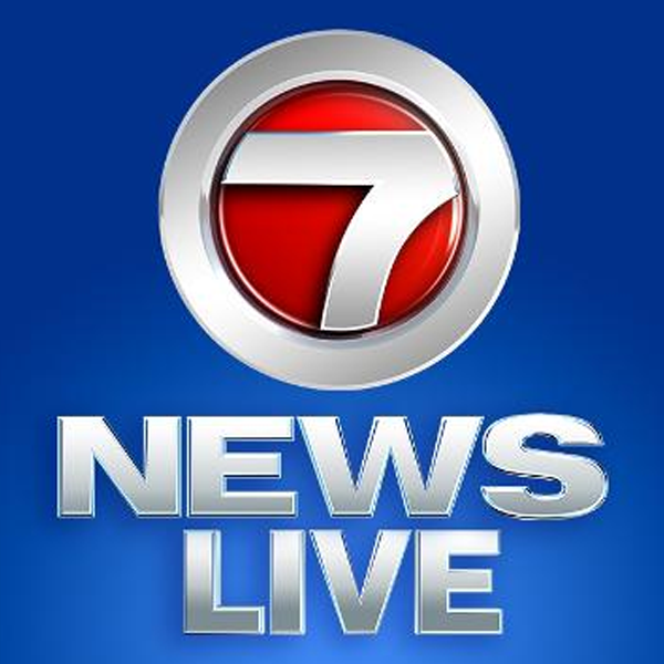 WSVN logo