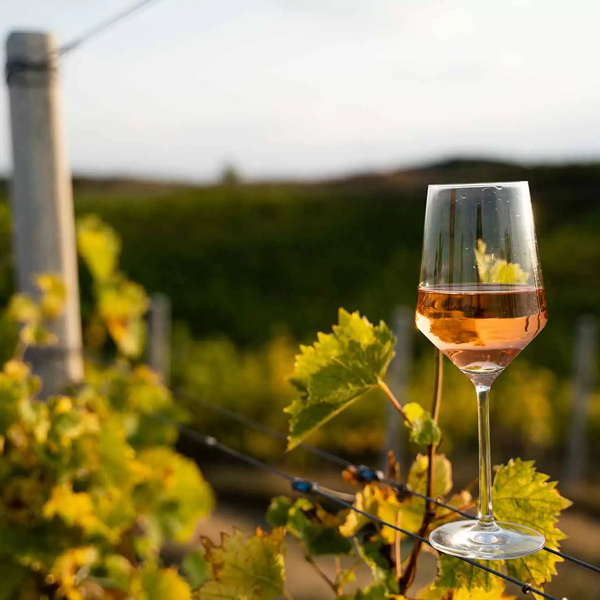 Wine Lovers logo