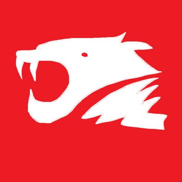 iBuyPower logo