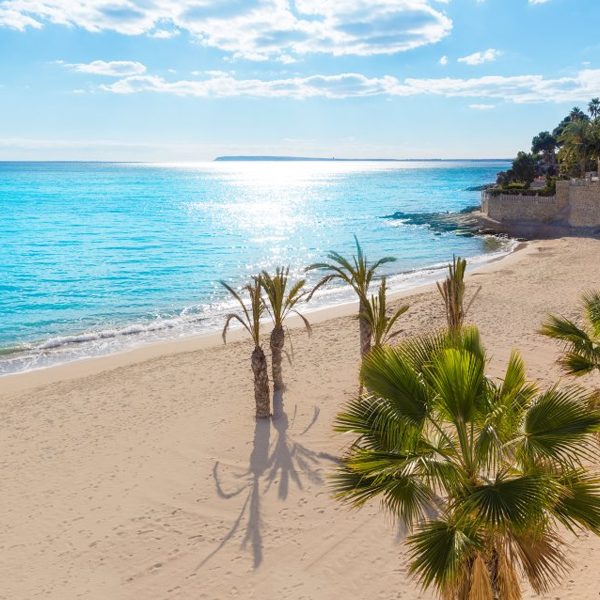 Alicante