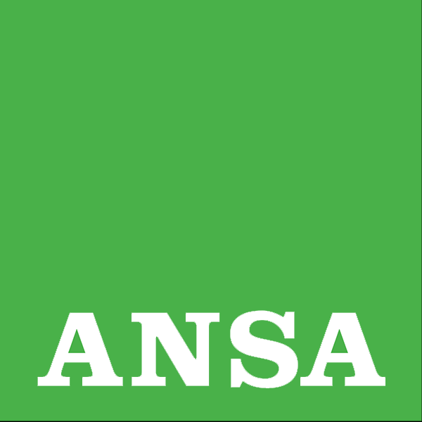 ANSA.it