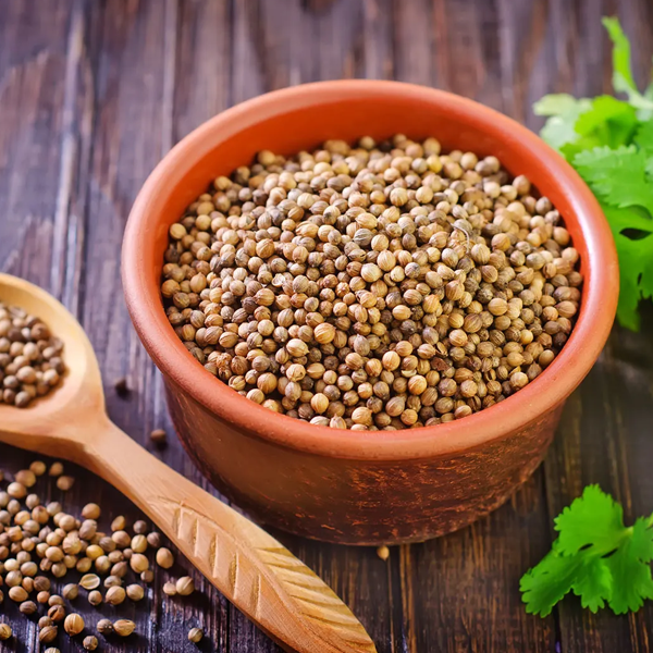 Coriander