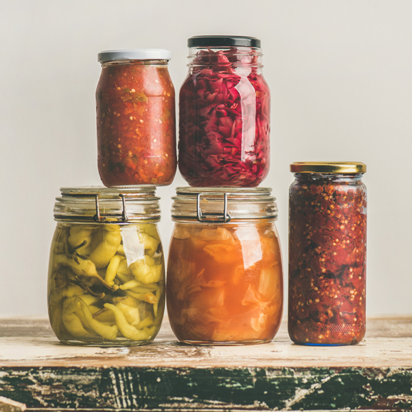 Fermentation logo