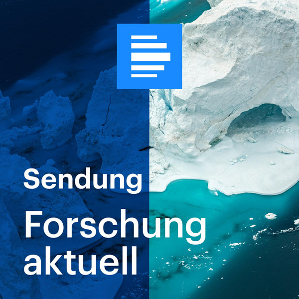Forschung Aktuell