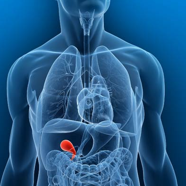 Gallbladder logo