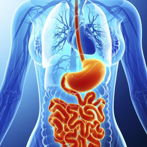 Gastroenterology logo