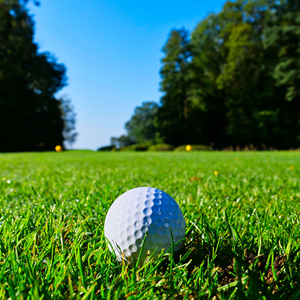 Golf course