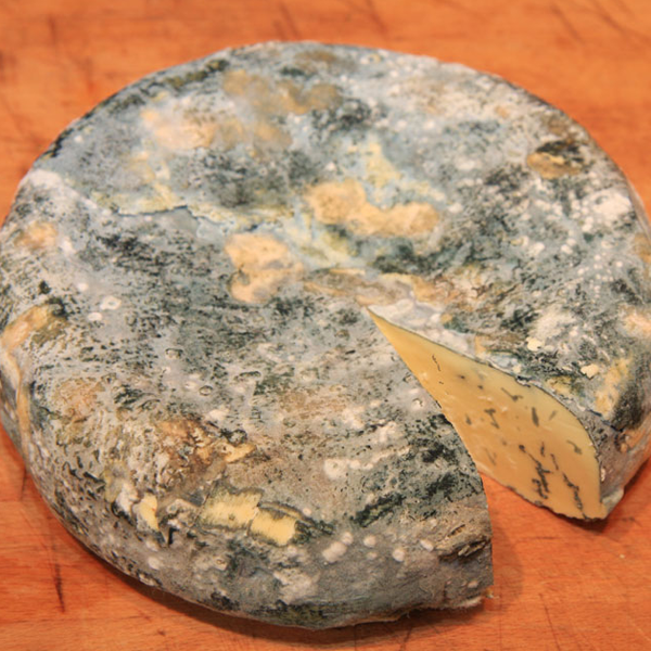 Gorgonzola