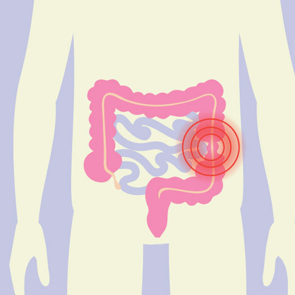 IBS logo