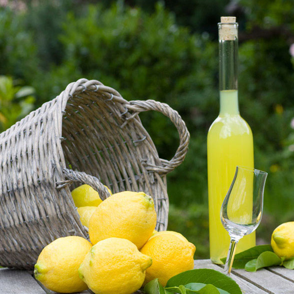 Limoncello