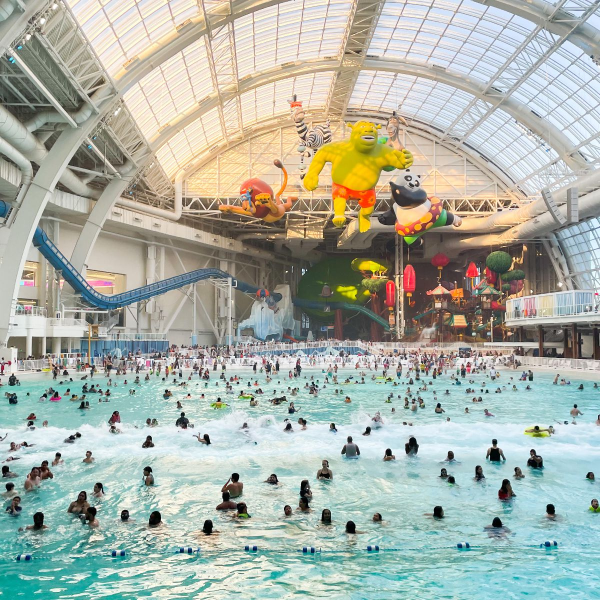 Water park logo