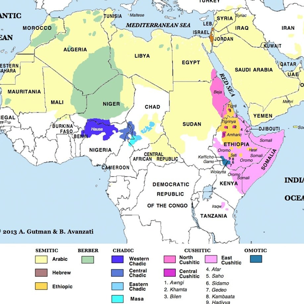 Afroasiatic languages