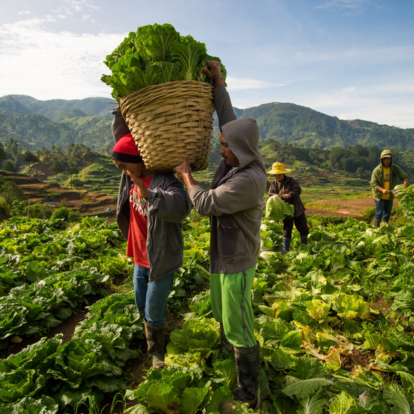 Agribusiness