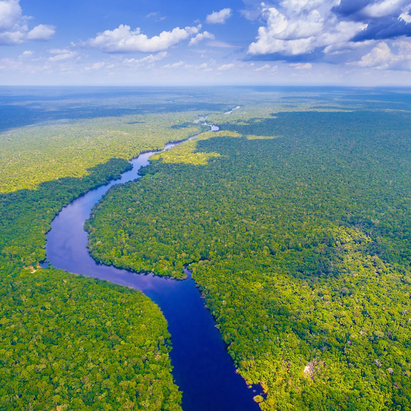 Amazon River logo