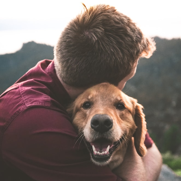 Animal Lovers logo