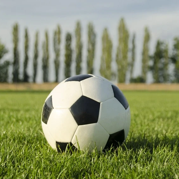 Ball logo