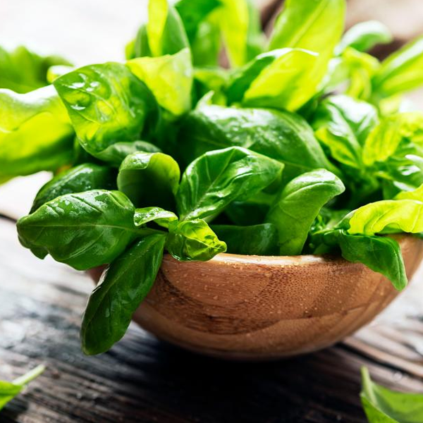 Basil logo