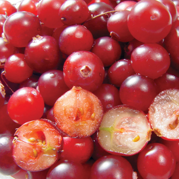 Berry (botany) logo