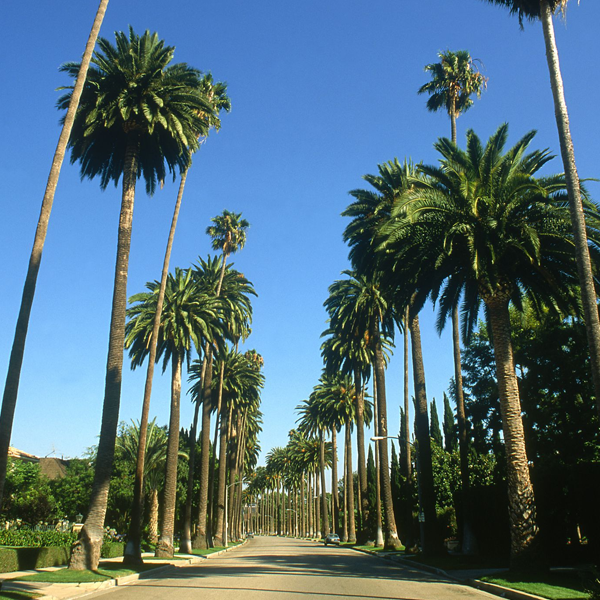 Beverly Hills, California logo