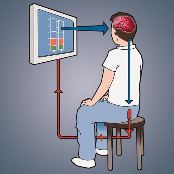 Biofeedback logo