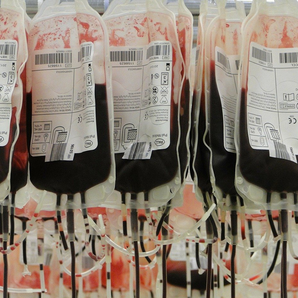 Blood bank logo