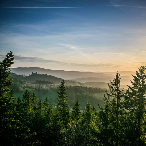 Bohemian Forest