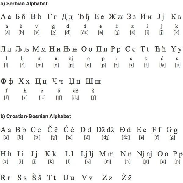 Bosnian language