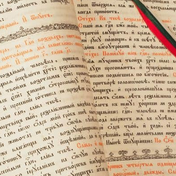 Bulgarian language