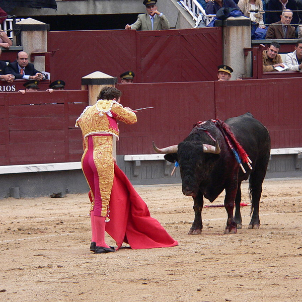 Bullfighting logo