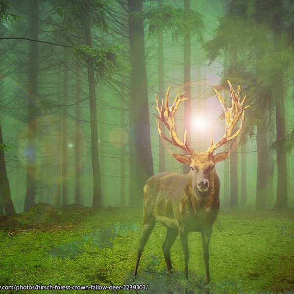 Celtic Otherworld