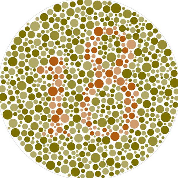 Color vision logo
