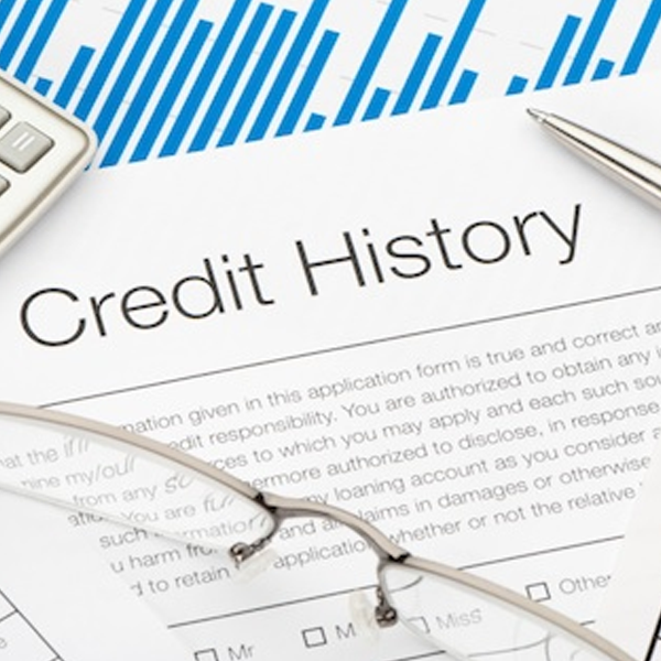 Credit history logo