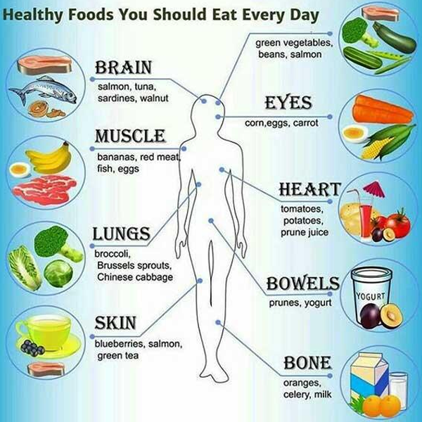 Daily Health Tips logo