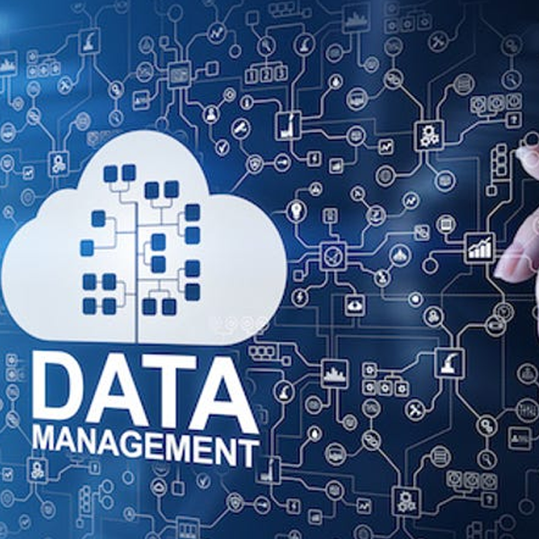 Data management logo