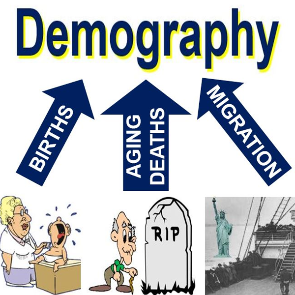 Demography logo