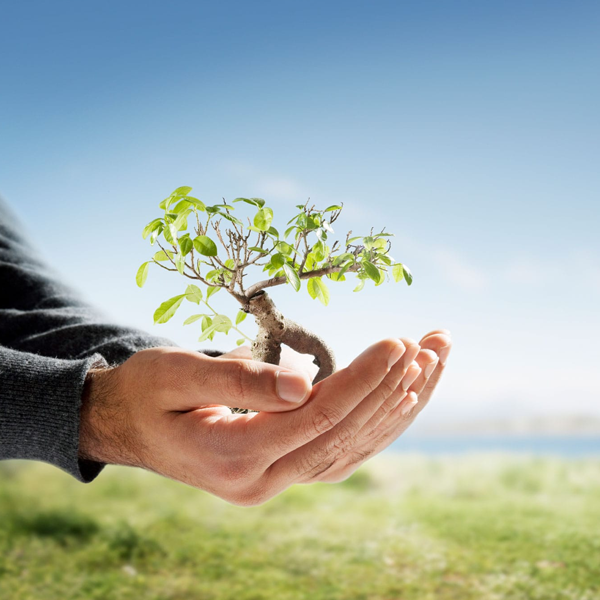 Eco Friendly Living logo