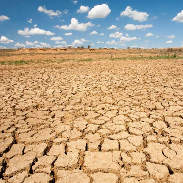 Effects of global warming logo